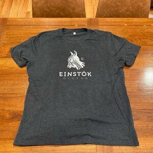 Men’s Viking T-Shirt, Grey, Size XXL - Runs Small